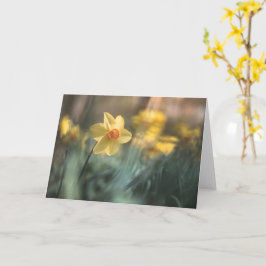 Gelbe Blume Foto Karte