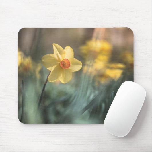 Gelbe Blume Foto Mousepad (Mit Mouse)