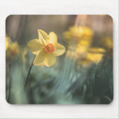 Gelbe Blume Foto Mousepad (Vorne)