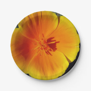 Gelbe Blume Foto Papiere Teller 7 in
