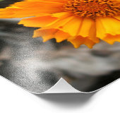 Gelbe Blume Fotodruck (Ecke)