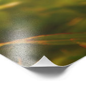 Gelbe Blume Fotodruck (Ecke)