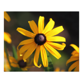 gelbe Blume Fotodruck
