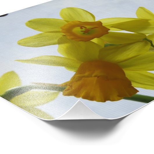Gelbe Blume Fotodruck (Ecke)