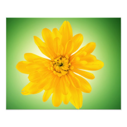 Gelbe Blume Fotodruck (Vorne)