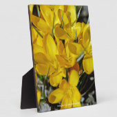 Gelbe Blume Fotoplatte (Seite)