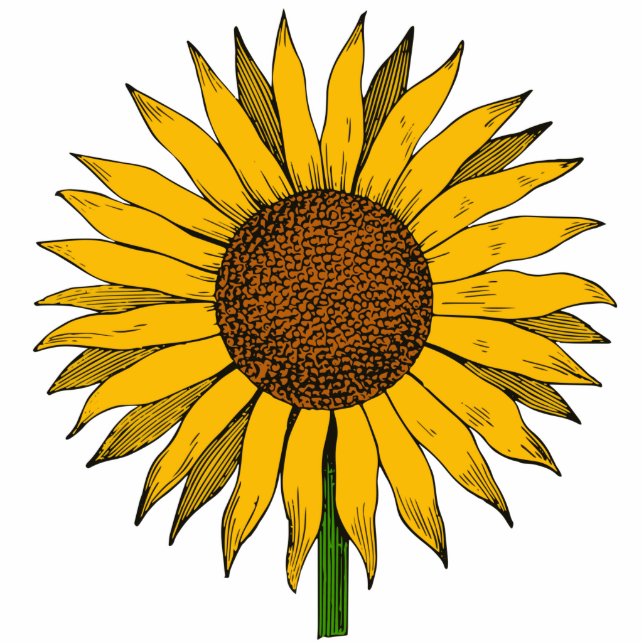 Gelbe Blume Freistehende Fotoskulptur (Vorne)