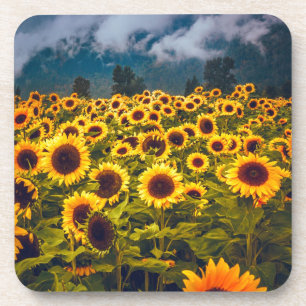 Gelbe Blume für Blumenfelder Getränkeuntersetzer