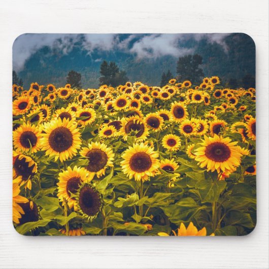 Gelbe Blume für Blumenfelder Mousepad (Vorne)