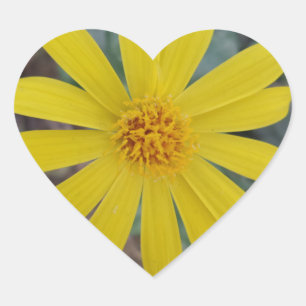 Gelbe Blume Herz-Aufkleber