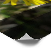 Gelbe Blume hinter Fenstern Poster (Ecke)