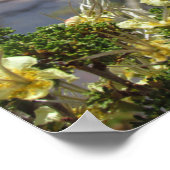 Gelbe Blume im Grand Canyon Poster (Ecke)