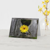 Gelbe Blume Karte (Gelbe Blume)
