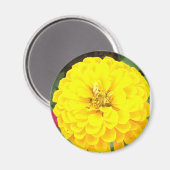 Gelbe Blume Magnet (Vorderseite/Rückseite)