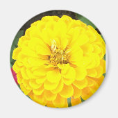 Gelbe Blume Magnet (Vorne)