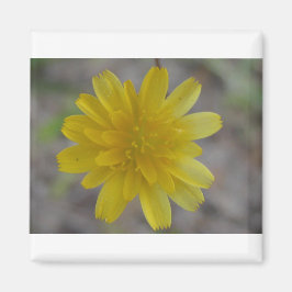Gelbe Blume Magnet