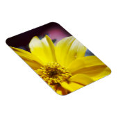 Gelbe Blume Magnet (Rechte Seite)