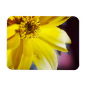 Gelbe Blume Magnet (Horizontal)
