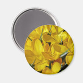 Gelbe Blume Magnet (Vorderseite/Rückseite)