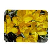 Gelbe Blume Magnet (Horizontal)