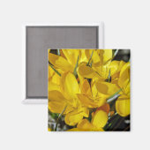 Gelbe Blume Magnet (Vorderseite/Rückseite)