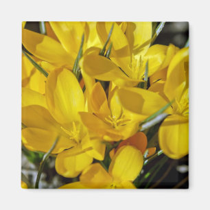 Gelbe Blume Magnet