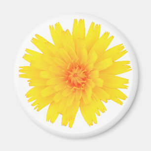 Gelbe Blume Magnet