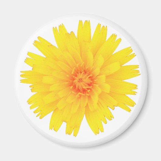 Gelbe Blume Magnet (Vorne)