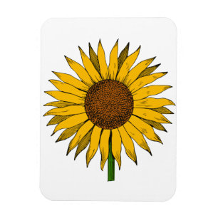 Gelbe Blume Magnet