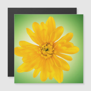 Gelbe Blume Magnetkarte