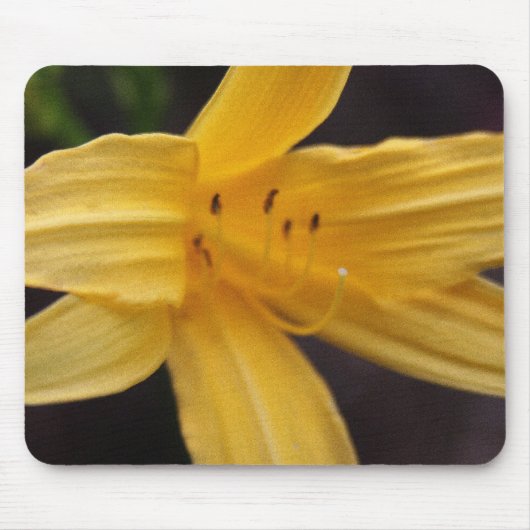 gelbe Blume Mousepad (Vorne)