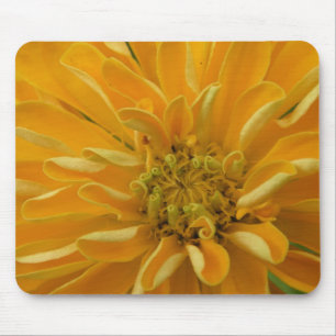 Gelbe Blume Mousepad