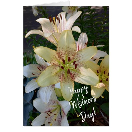 Gelbe Blume Muttertagskarte (Vorne)