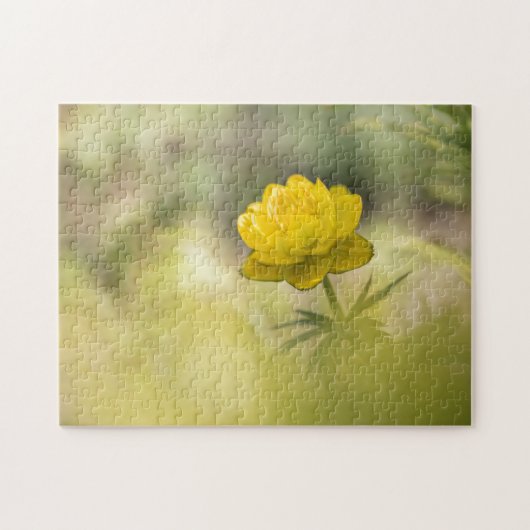 Gelbe Blume Natur Foto Puzzle (Horizontal)