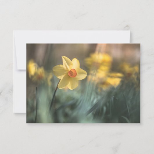 Gelbe Blume Naturfotokarte (Vorderseite)