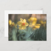 Gelbe Blume Naturfotokarte (Vorne/Hinten)