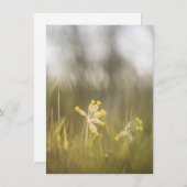 Gelbe Blume Naturfotokarte (Vorne/Hinten)