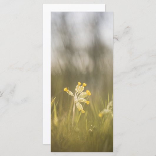 Gelbe Blume Naturfotokarte (Vorne/Hinten)