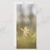 Gelbe Blume Naturfotokarte (Vorderseite)