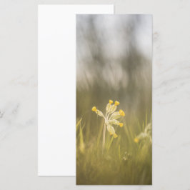 Gelbe Blume Naturfotokarte