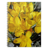 Gelbe Blume Notizblock (Vorderseite)