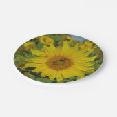 Gelbe Blume Pappteller (Schrägansicht)