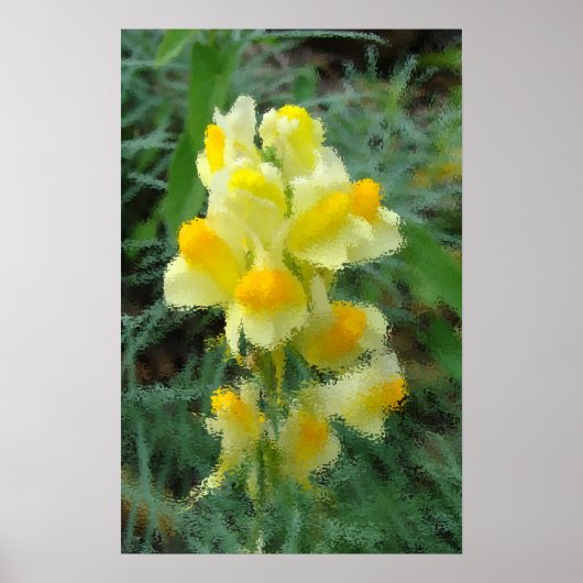 Gelbe Blume Poster (Vorne)