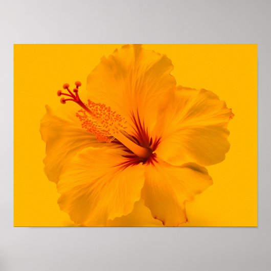 Gelbe Blume Poster (Vorne)