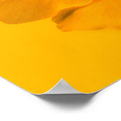 Gelbe Blume Poster (Ecke)