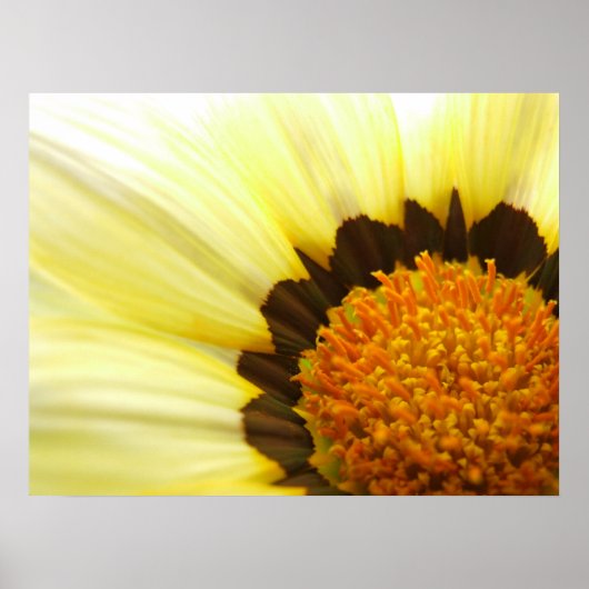 Gelbe Blume Poster (Vorne)