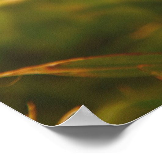 Gelbe Blume Poster (Ecke)