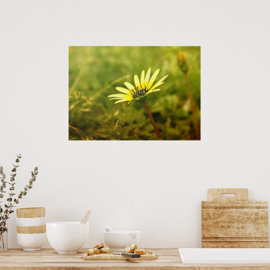 Gelbe Blume Poster (Küche)