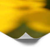 Gelbe Blume Poster (Ecke)