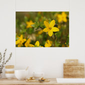 Gelbe Blume Poster (Küche)